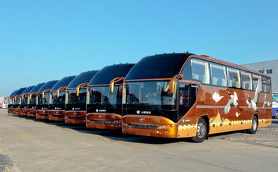 海格客车 降本又环保 海格天然气客车进入全国25省市 商业电讯 海格客车,LNG,苏州金龙,